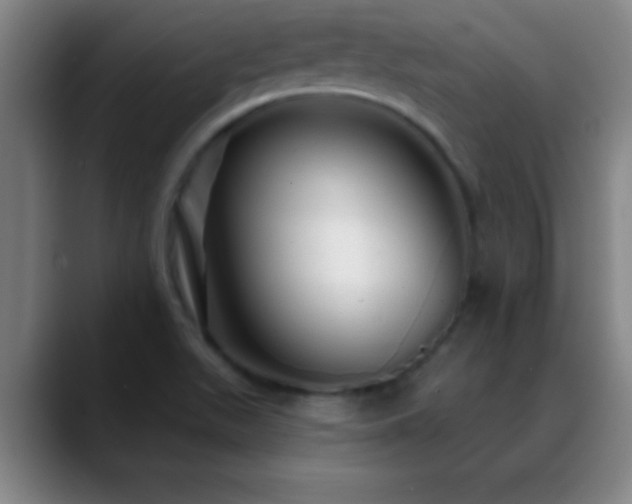 X0000088851511200706151708