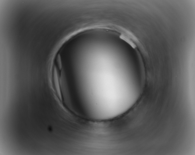 X0000088851512200706151708