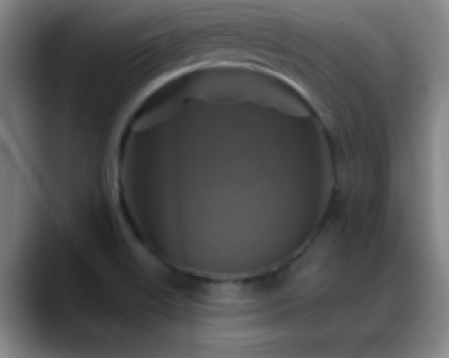 X0000088851515200706151708