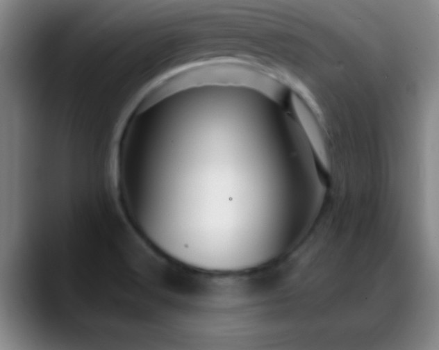 X0000088851516200706151708