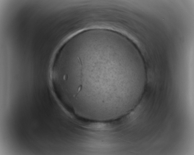 X0000088851517200706151708