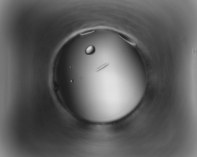 X0000088851518200706151708