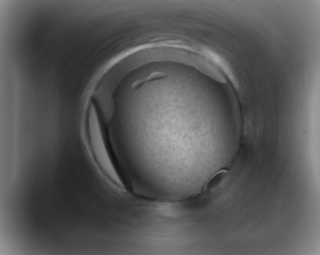 X0000088851520200706151708
