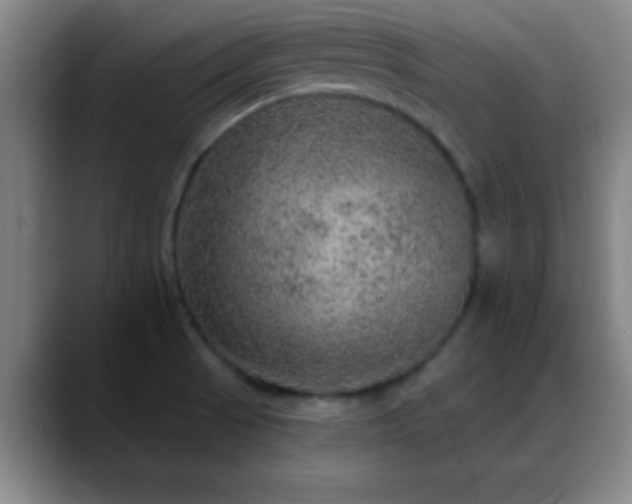 X0000088851521200706151708