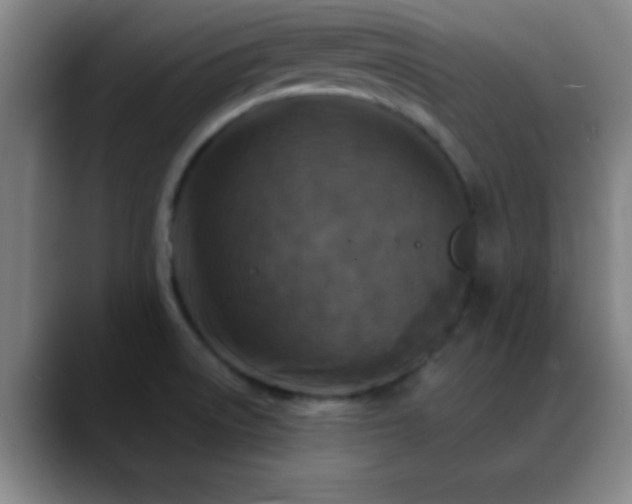 X0000088851522200706151708