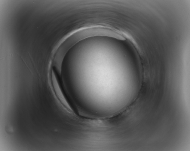 X0000088851524200706151708