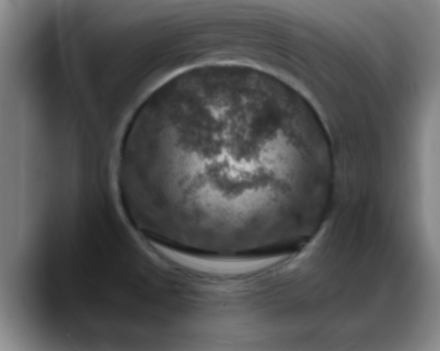 X0000088851525200706151708
