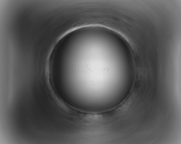 X0000088851526200706151708