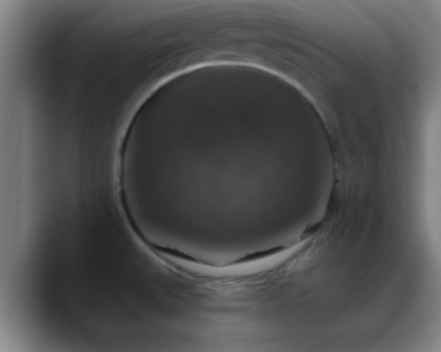 X0000088851527200706151708
