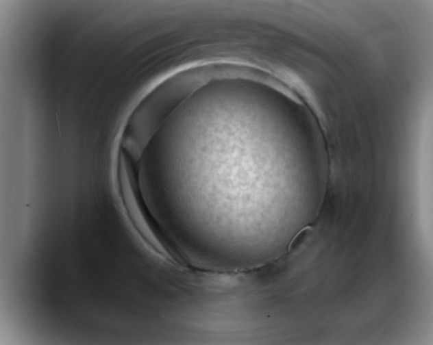 X0000088851528200706151708