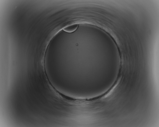X0000088851529200706151708