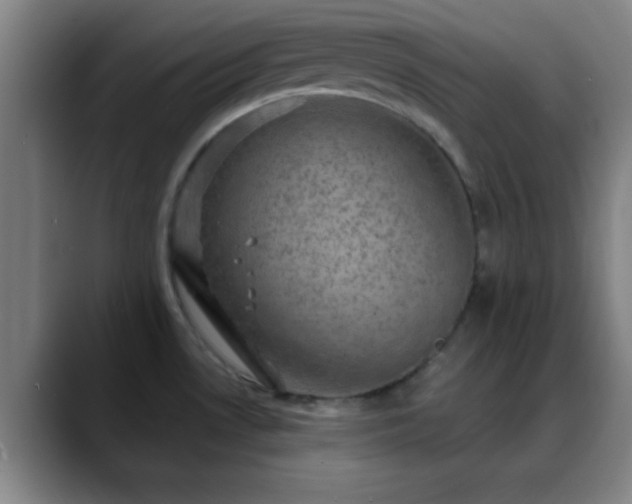 X0000088851530200706151708