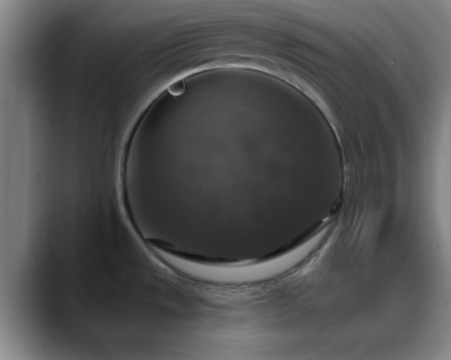 X0000088851533200706151708
