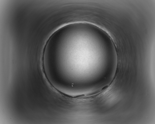 X0000088851534200706151708