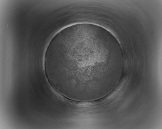 X0000088851535200706151708