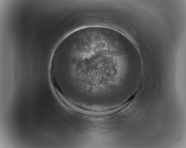 X0000088851536200706151708
