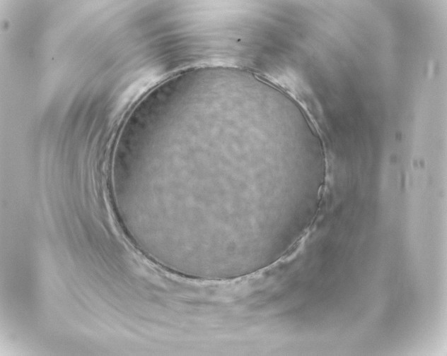 X0000088850001200706221712