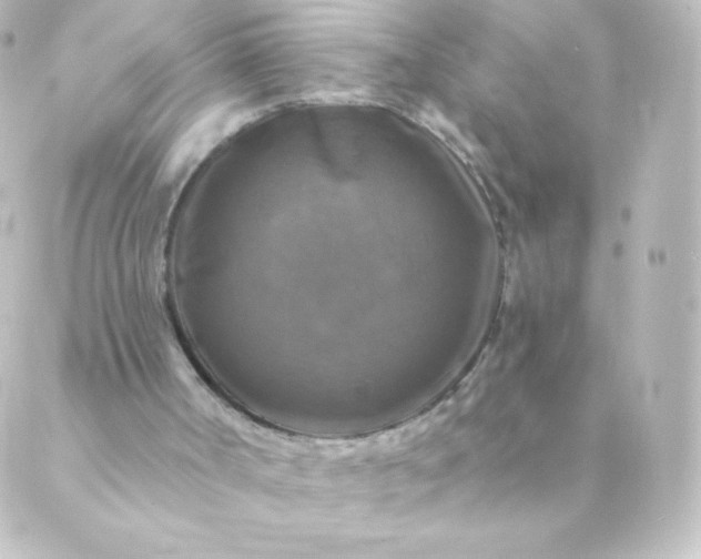 X0000088850002200706221712