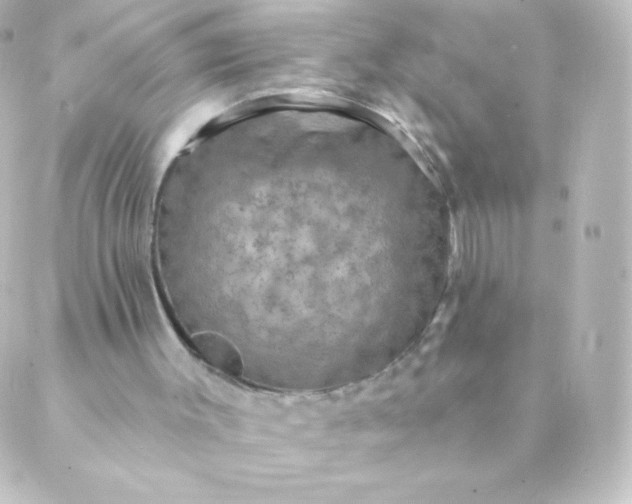 X0000088850003200706221712