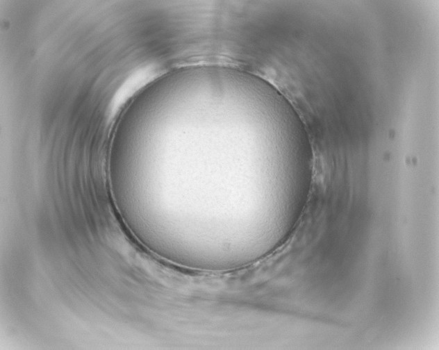 X0000088850004200706221712