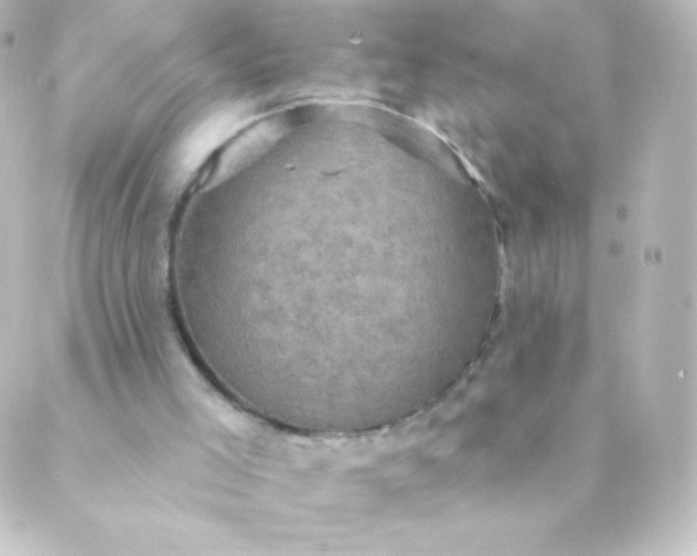 X0000088850005200706221712