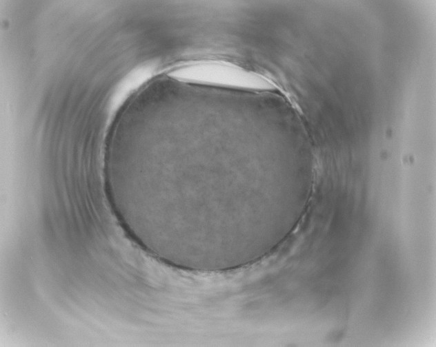 X0000088850006200706221712