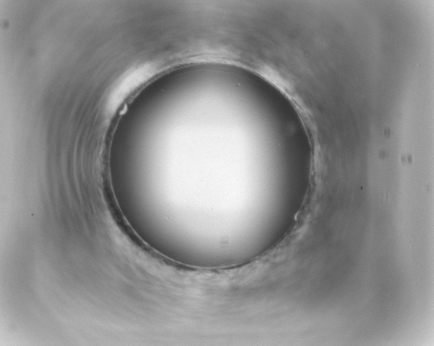 X0000088850007200706221711