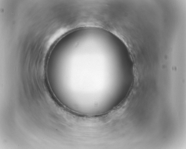 X0000088850008200706221711