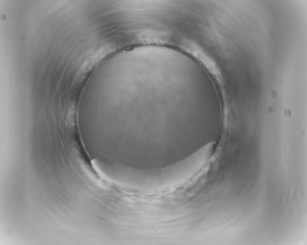 X0000088850009200706221711