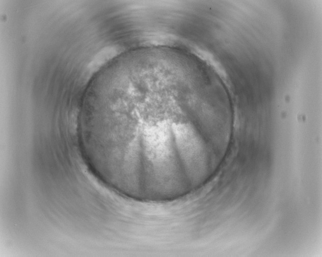 X0000088850010200706221711