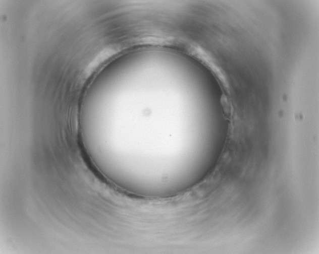 X0000088850011200706221711