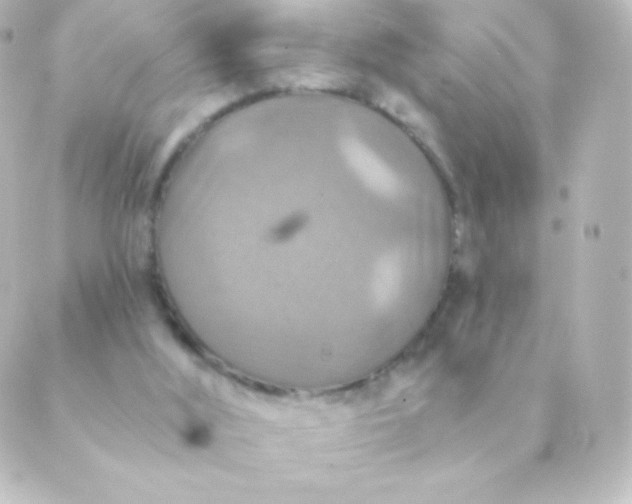 X0000088850012200706221711