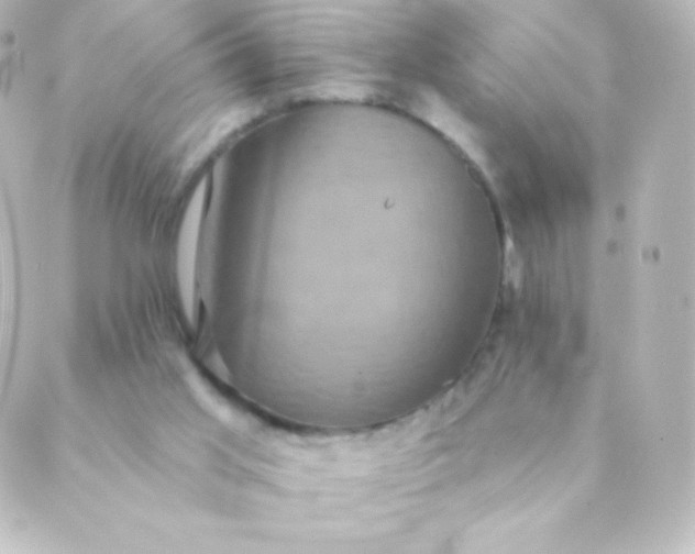 X0000088850013200706221711