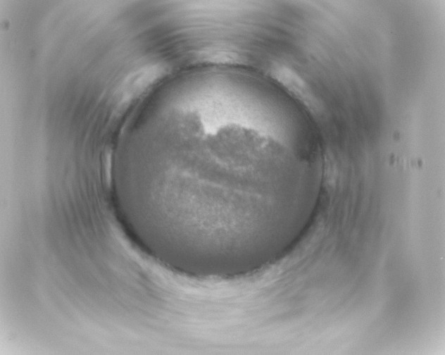 X0000088850014200706221711