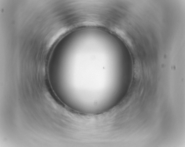 X0000088850015200706221711