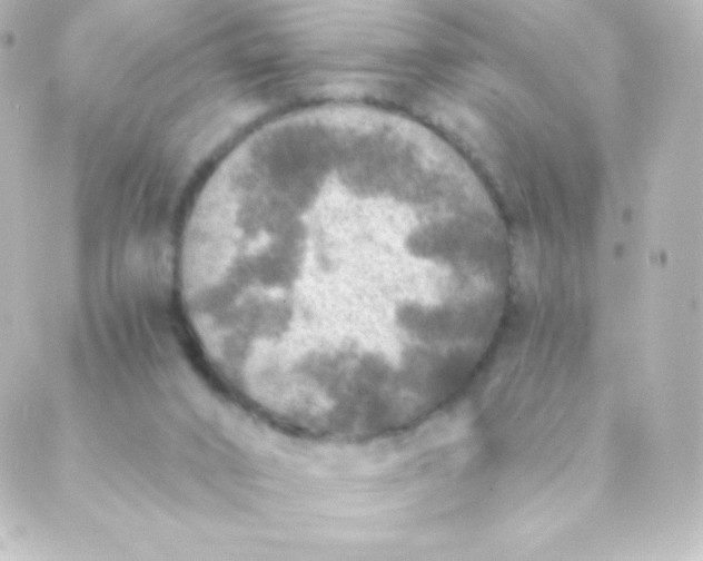 X0000088850016200706221711