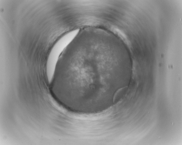 X0000088850017200706221711