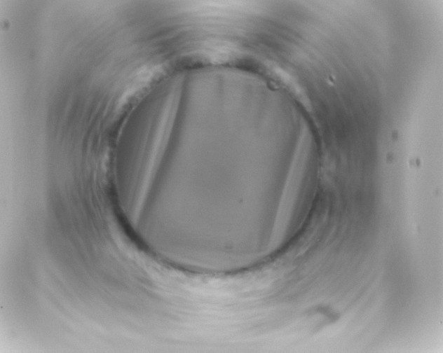 X0000088850018200706221711