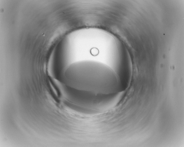 X0000088850019200706221711