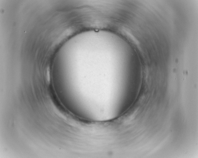 X0000088850020200706221711