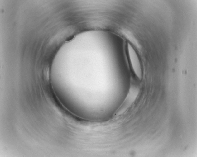 X0000088850021200706221711