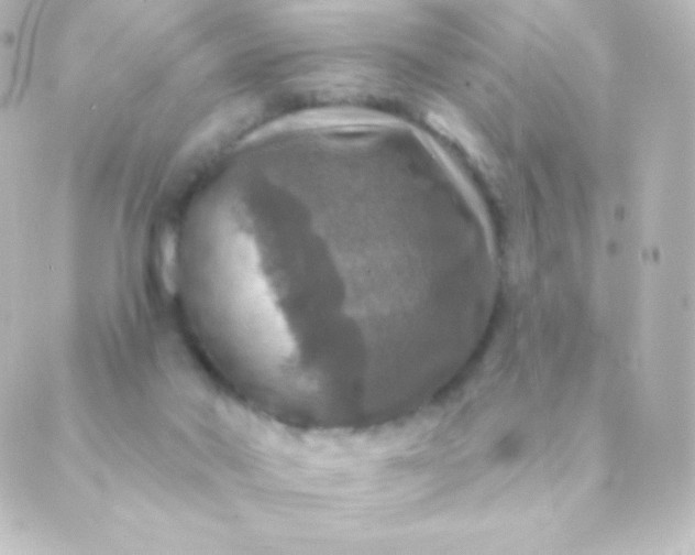 X0000088850022200706221711