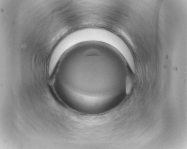 X0000088850023200706221711