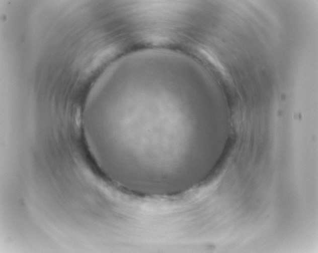 X0000088850024200706221711