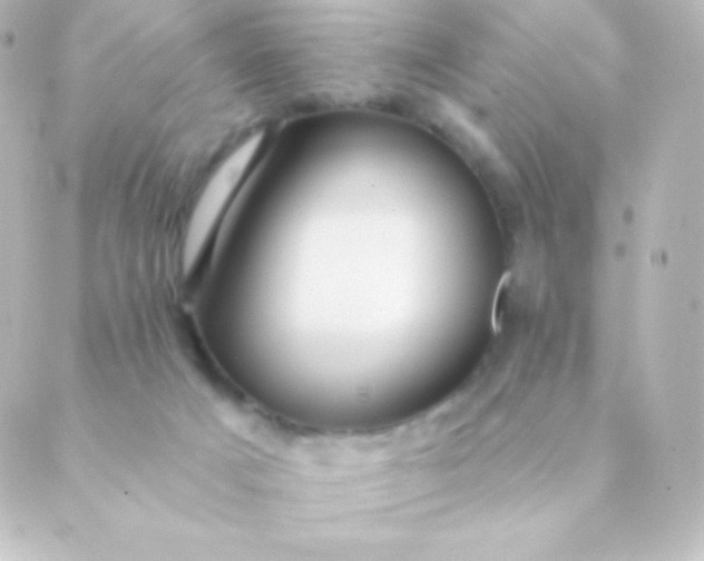 X0000088850025200706221711