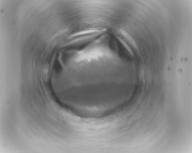 X0000088850026200706221711