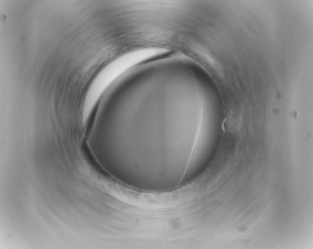 X0000088850027200706221711