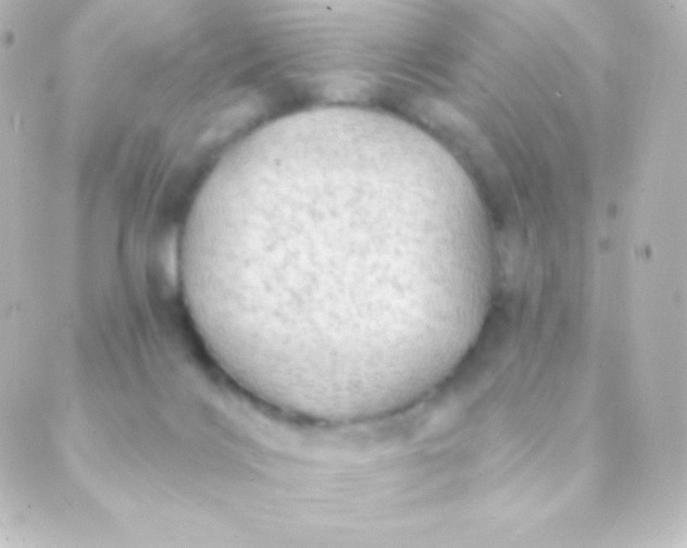 X0000088850028200706221711