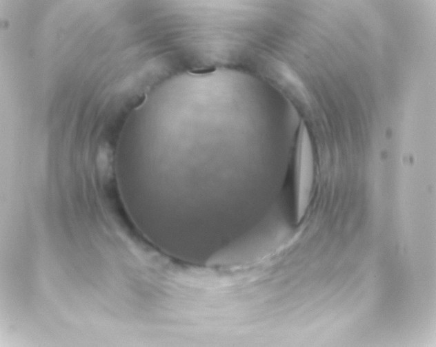 X0000088850029200706221711