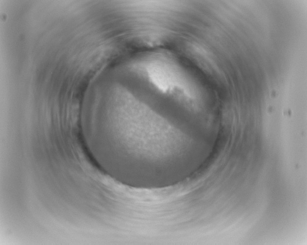 X0000088850030200706221711